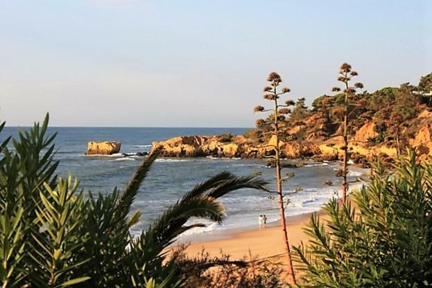 Sunny Apartment Close To The Beach Albufeira Exteriör bild